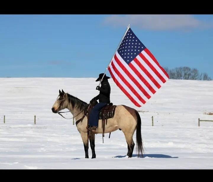 Session ID: 1096035.