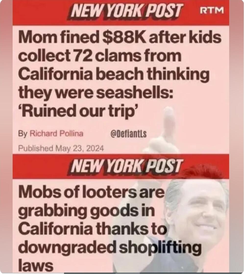 VEW YORK POST rv Mom fined 88K after kids collect 72 clams from California beach thinking they were seashells Ruined our trip ByF F Deflantls Mobs of looters are grabbing goodsin California thanks to downgraded shoplifti laws