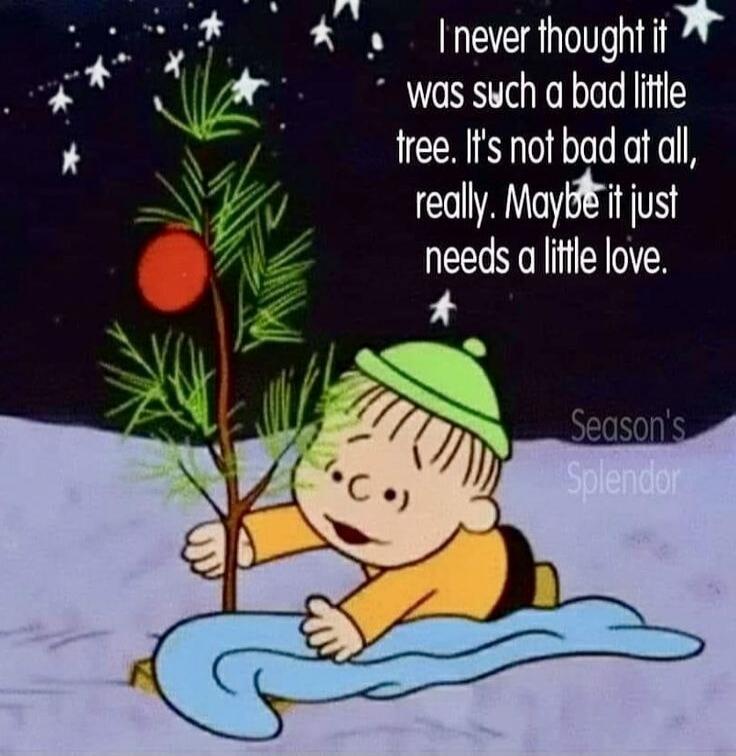 I never thought it was such a bad little tree. It's not bad at all, really. Maybe it just needs a little love. Season's Splendor