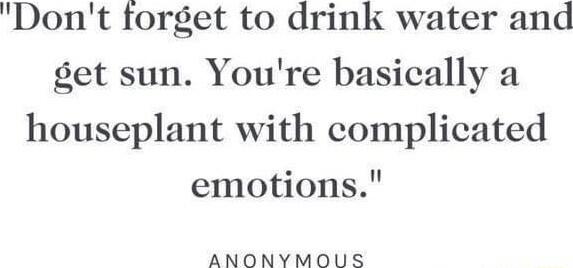 Dont forget to drink water and get sun Youre basically a houseplant with complicated emotions ANONYMOUS