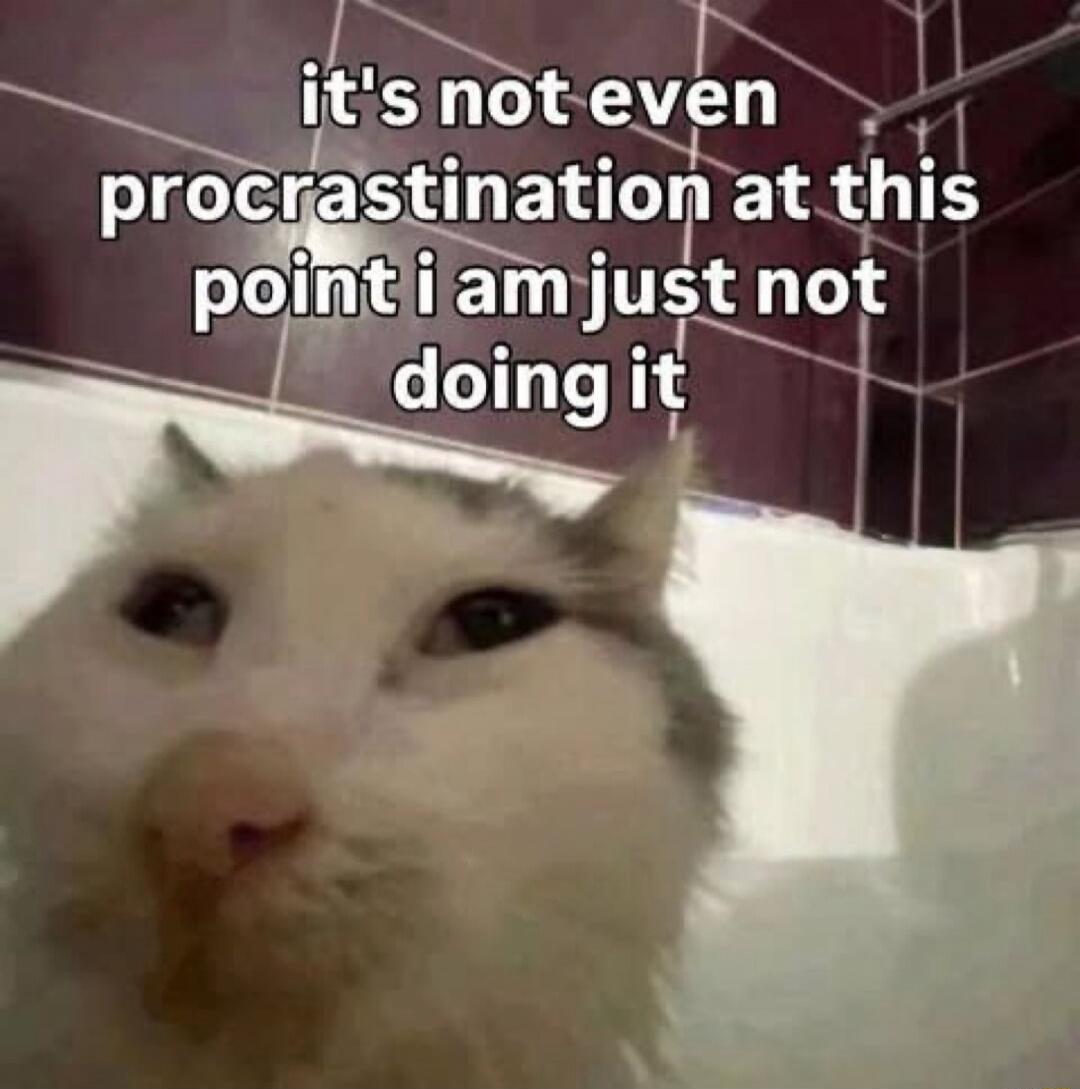 it's not even procrastination at this point i am just not doing it
