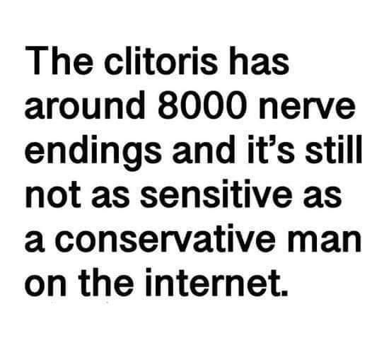 The clitoris has around 8000 nerve endings and its still not as sensitive as a conservative man on the internet