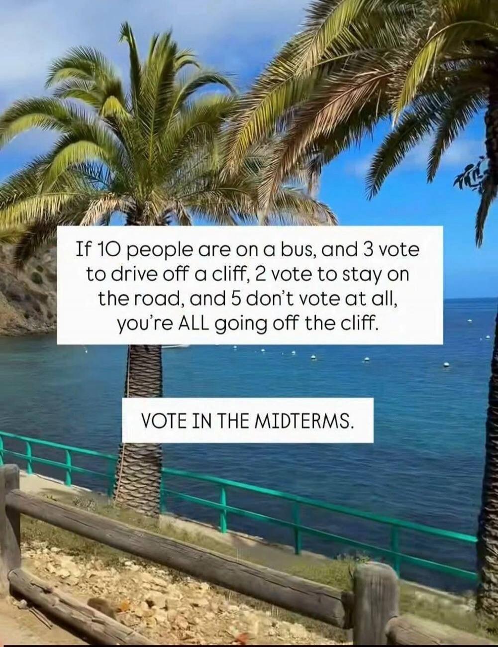 If 10 people are on a bus, and 3 vote to drive off a cliff, 2 vote to stay on the road, and 5 don't vote at all, you're ALL going off the cliff. VOTE IN THE MIDTERMS.