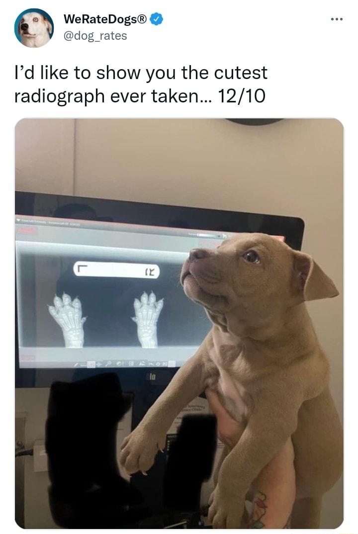 WeRateDogs k dog_rates Id like to show you the cutest radiograph ever taken 1210