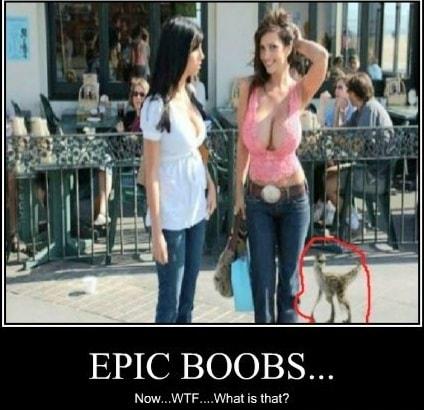 EPIC BOOBS NowWTF What is that