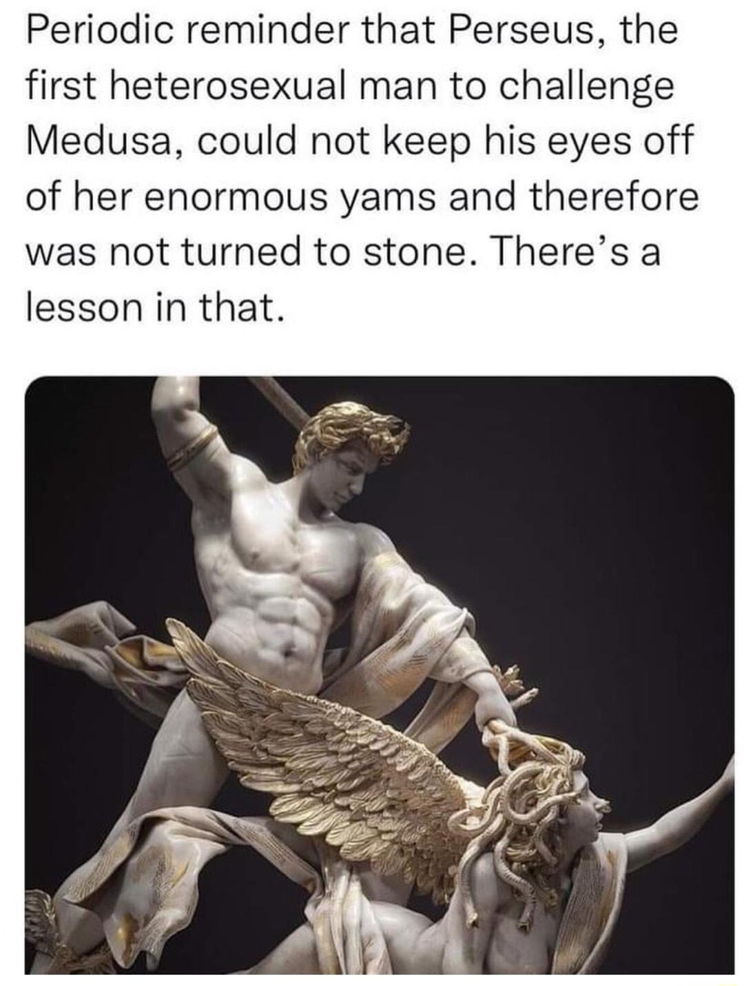 Periodic reminder that Perseus the first heterosexual man to challenge Medusa could not keep his eyes off of her enormous yams and therefore was not turned to stone Theres a lesson in that