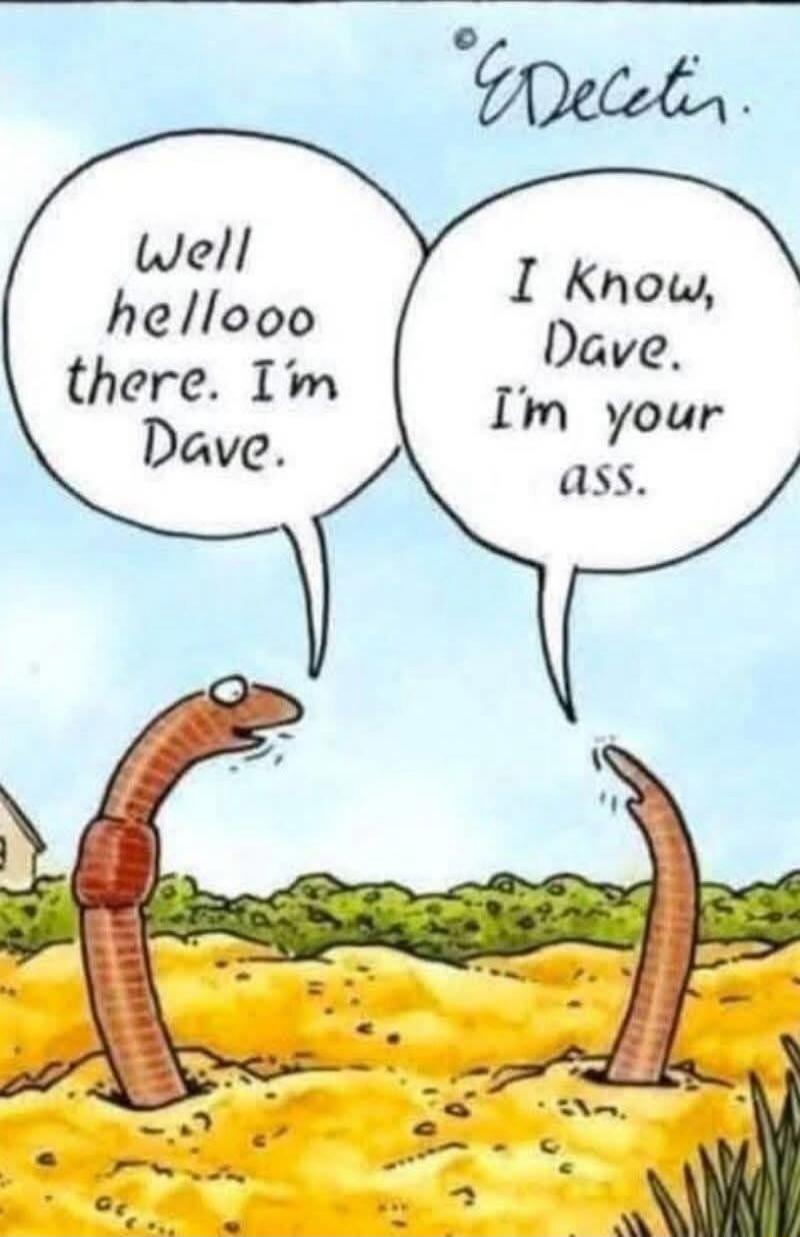 Well hellooo there. I'm Dave. I know, Dave. I'm your ass.