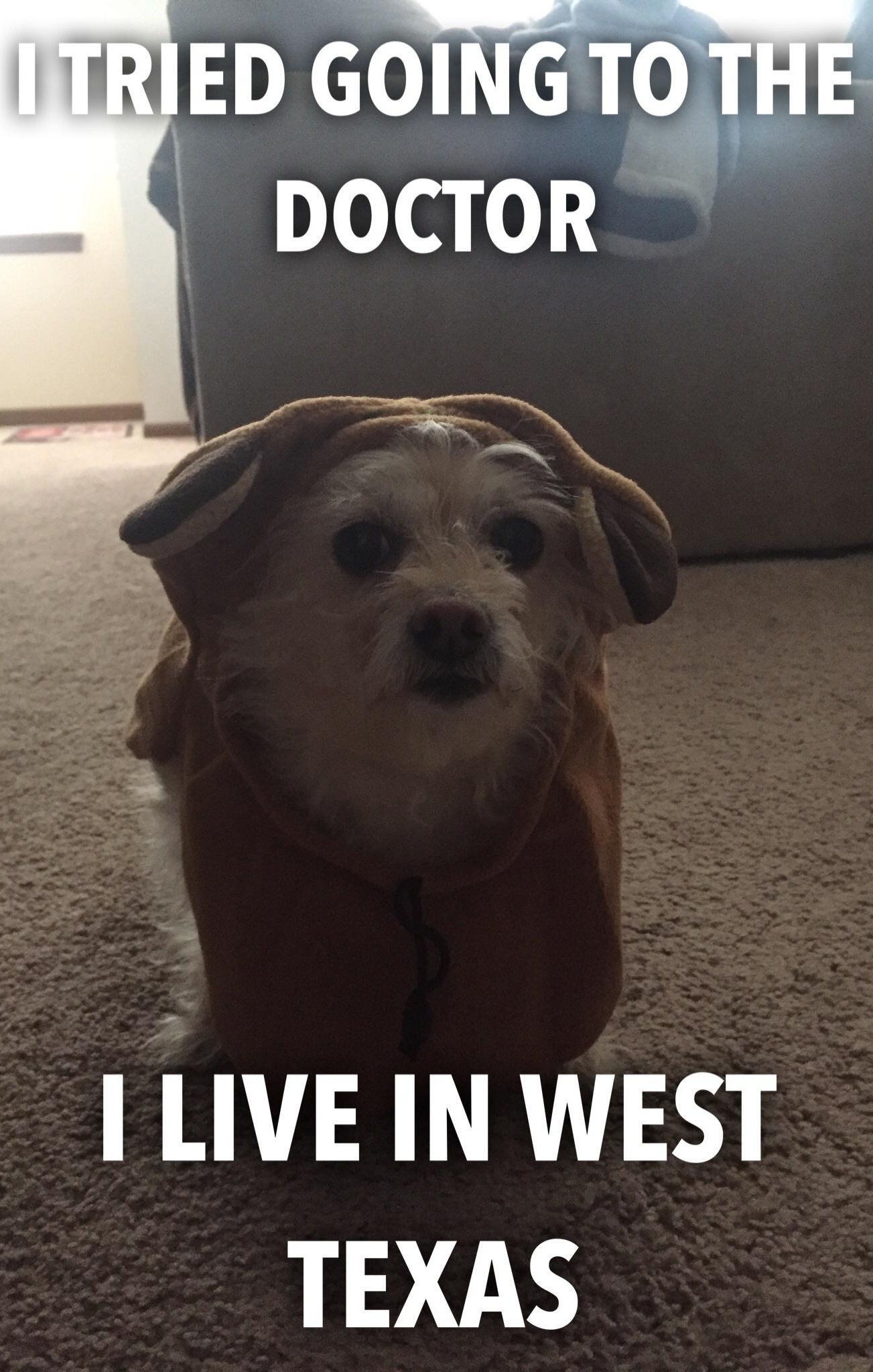 LIVE IN WEST TEXAS