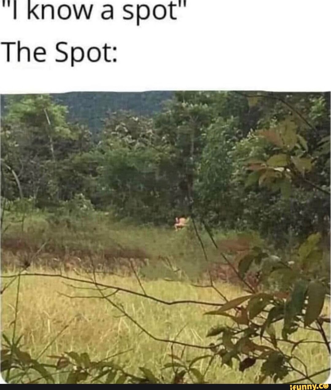 now a spot The Spot