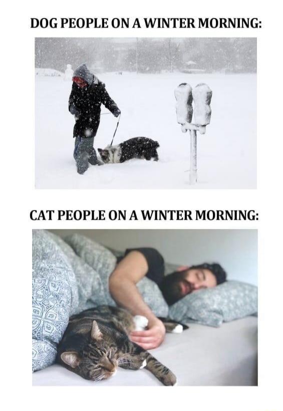 DOG PEOPLE ON A WINTER MORNING:
CAT PEOPLE ON A WINTER MORNING: