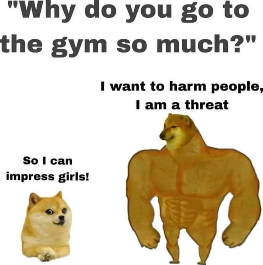 Why do you go to the gym so much 1 want to harm people 1 am a threat So I can impress girls