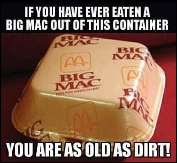 IFYOU HAVE EVER EATEN A BIG MAC OUT OF THIS CONTAINER YOU AREASOLD AS DIRT