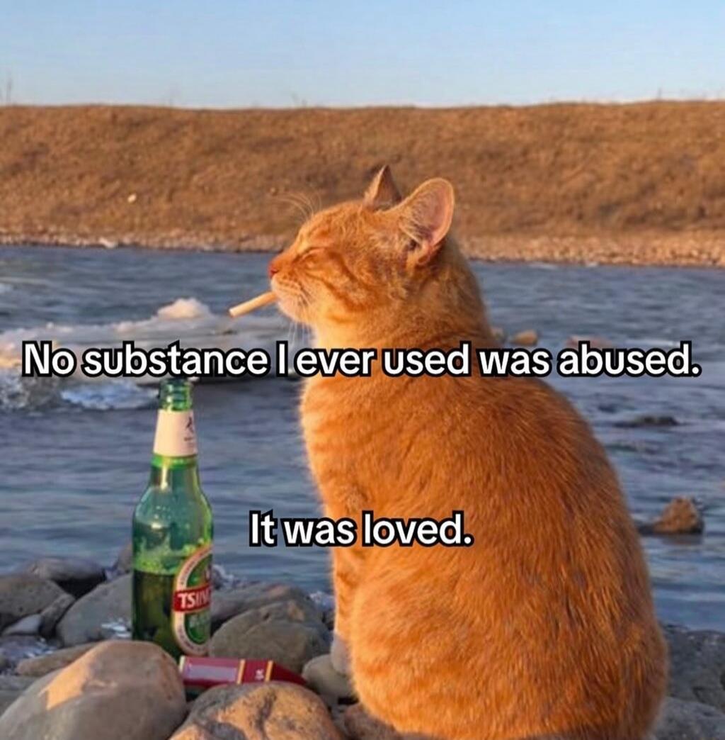 No substance I ever used was abused. It was loved.