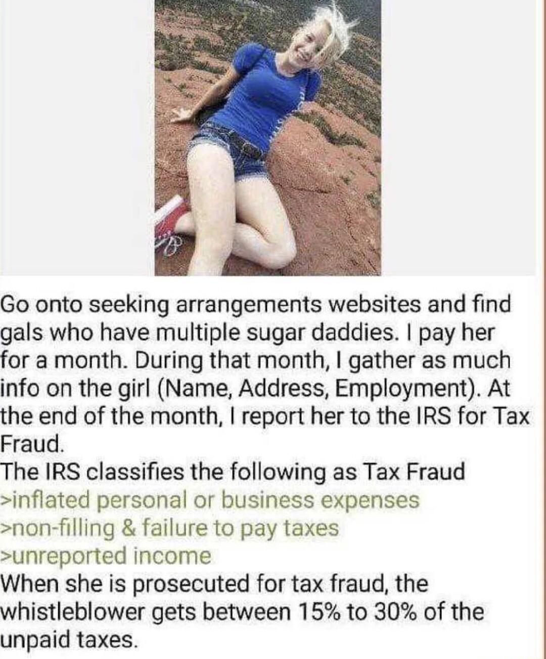 Go onto seeking arrangements websites and find gals who have multiple sugar daddies pay her for a month During that month gather as much info on the girl Name Address Employment At the end of the month report her to the IRS for Tax Fraud The IRS classifies the following as Tax Fraud inflated personal or business expenses non filling failure to pay taxes unreported income When she is prosecuted for
