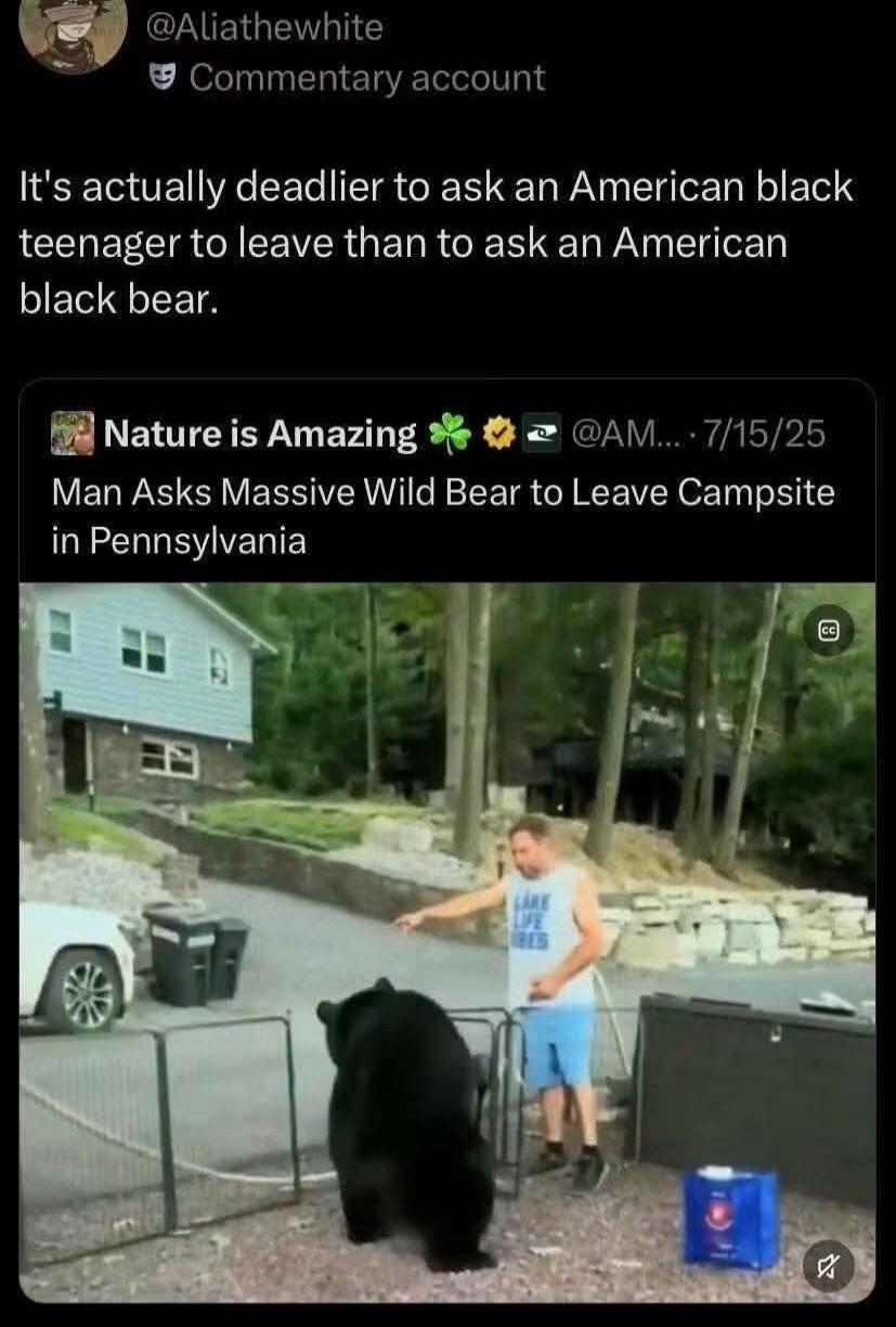 @Aliathewhite Commentary account. It's actually deadlier to ask an American black teenager to leave than to ask an American black bear. Nature is Amazing. Man Asks Massive Wild Bear to Leave Campsite in Pennsylvania.