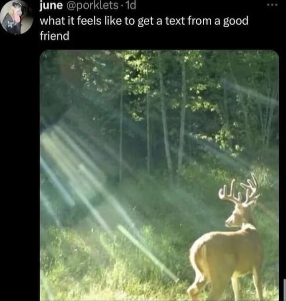 Jjune porklets 1d what it feels like to get a text from a good i