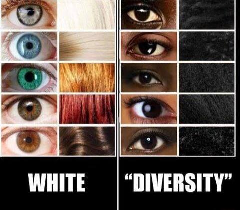 WHITE DIVERSITY