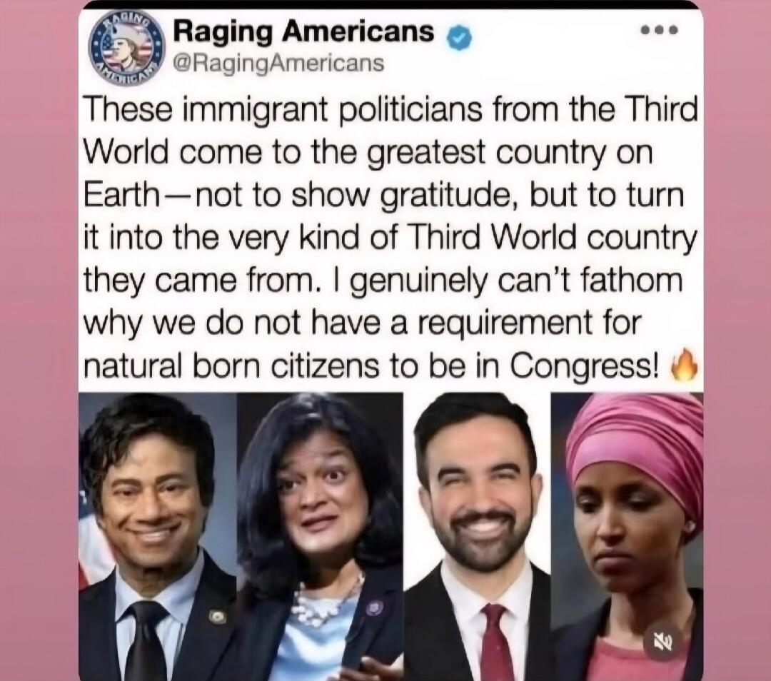Raging Americans @RagingAmericans These immigrant politicians from the Third World come to the greatest country on Earth—not to show gratitude, but to turn it into the very kind of Third World country they came from. I genuinely can't fathom why we do not have a requirement for natural born citizens to be in Congress!