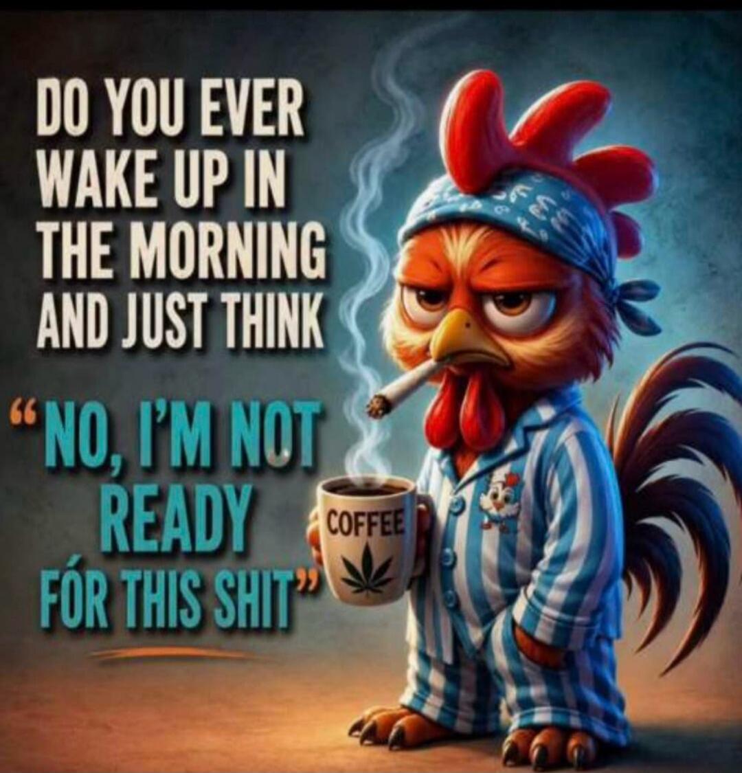 DO YOU EVER WAKE UP IN THE MORNING AND JUST THINK 