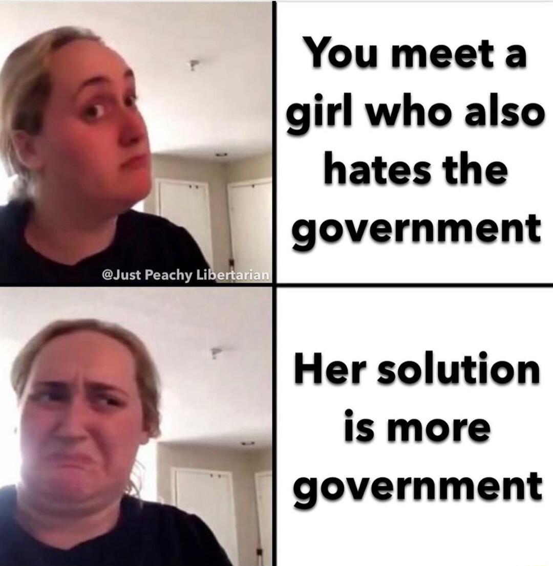 You meet a girl who also hates the government Her solution is more government