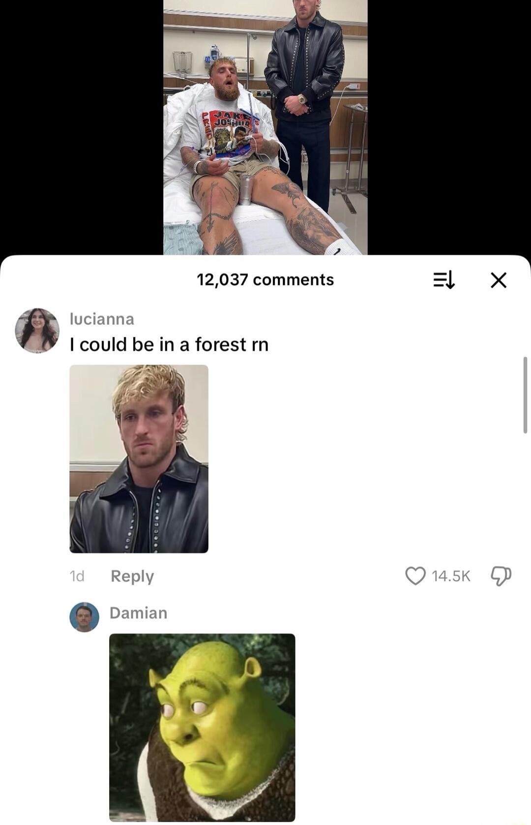 I could be in a forest rn