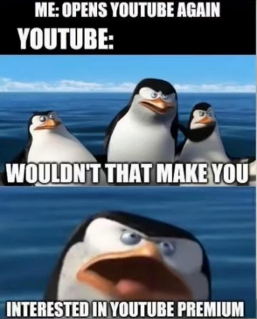 ME OPENS YOUTUBE AGAIN YOUTUBE t INTERESTED IN YOUTUBE PREMIUM