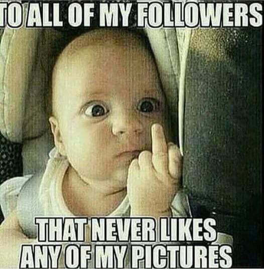 TO ALL OF MY FOLLOWERS THAT NEVER LIKES ANY OF MY PICTURES