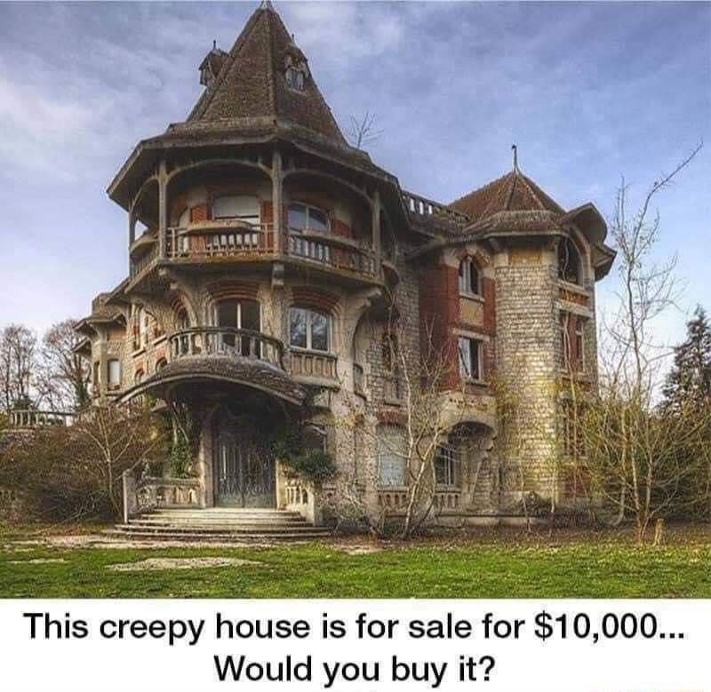 use is for sale for 10000 Would you buy it