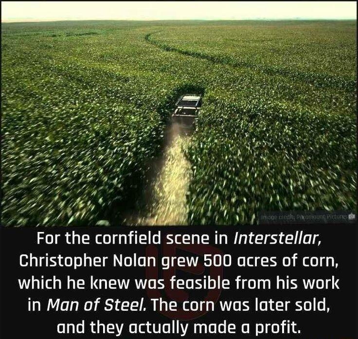 For the cornfield scene in Interstellar Christopher Nolan grew 500 acres of corn which he knew was feasible from his work in Man of Steel The corn was later sold and they actually made a profit