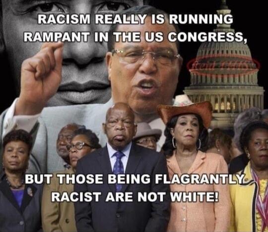 RACISM REALLY IS RUNNING RAMPANT IN THE US CONGRESS, BUT THOSE BEING FLAGRANTLY RACIST ARE NOT WHITE!