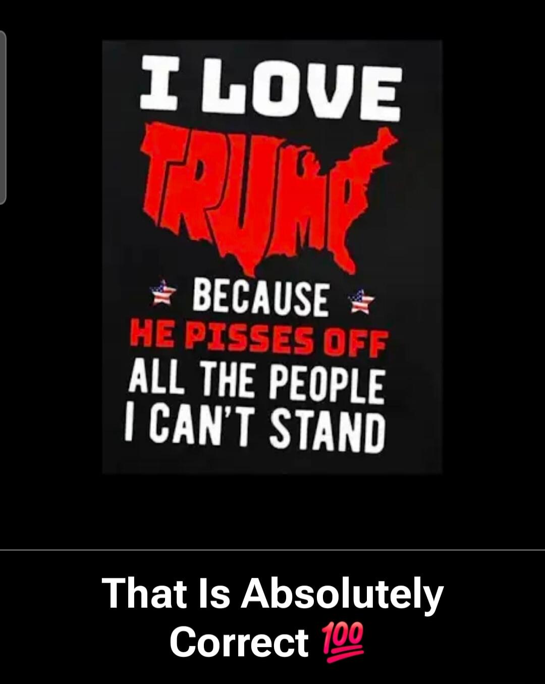 I LOVE TRUMP BECAUSE HE PISSES OFF ALL THE PEOPLE I CAN'T STAND. That Is Absolutely Correct 100