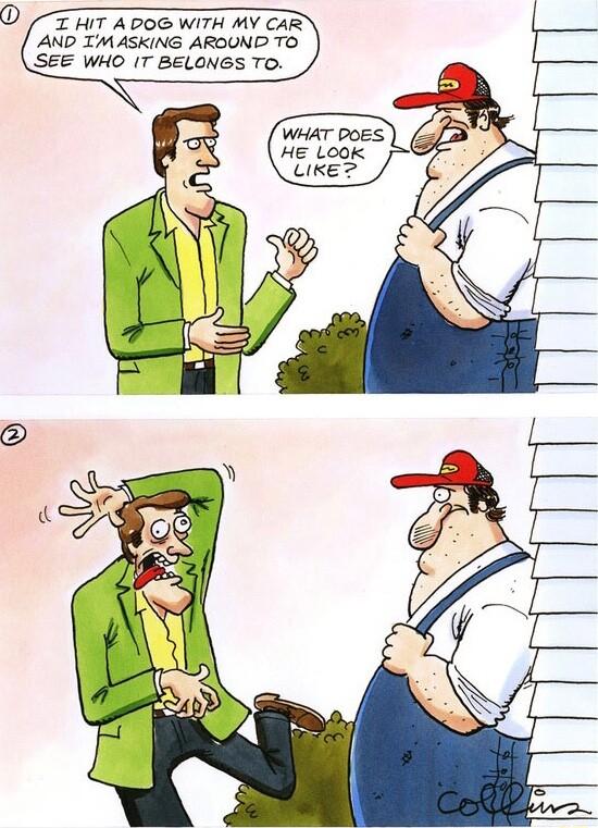 T HIT ADOG WITH MY CAR AND IMASKING AROUND TO SEE WHO IT BELONGS TO