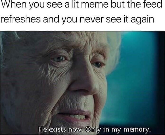 When you see a lit meme refreshes and you never see it again