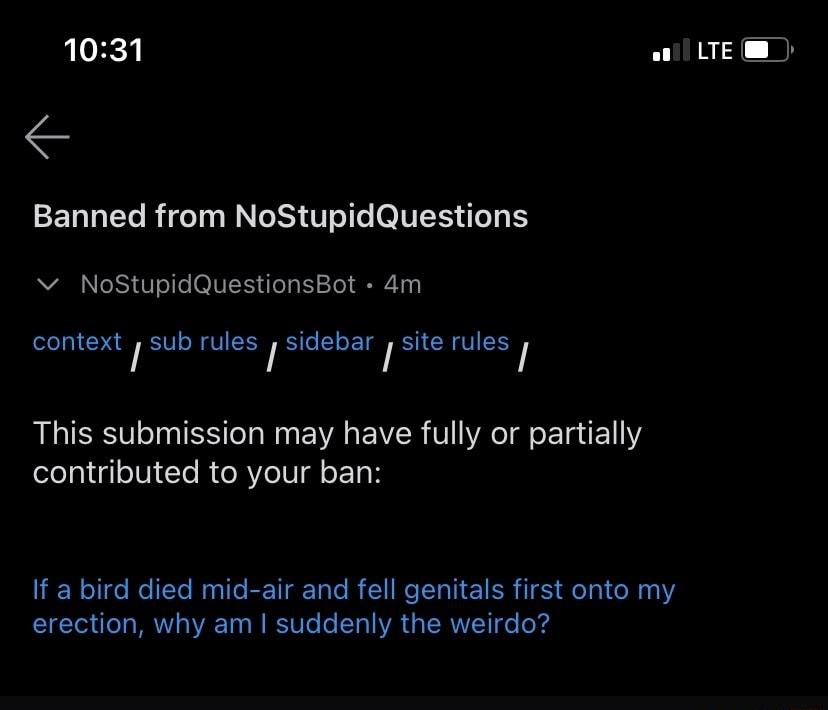 1031 ol LTE Banned from NoStupidQuestions Vv NoStupidQuestionsBot 4m context y sub rules y sidebar site rules Jee This submission may have fully or partially contributed to your ban If a bird died mid air and fell genitals first onto my erection why am suddenly the weirdo