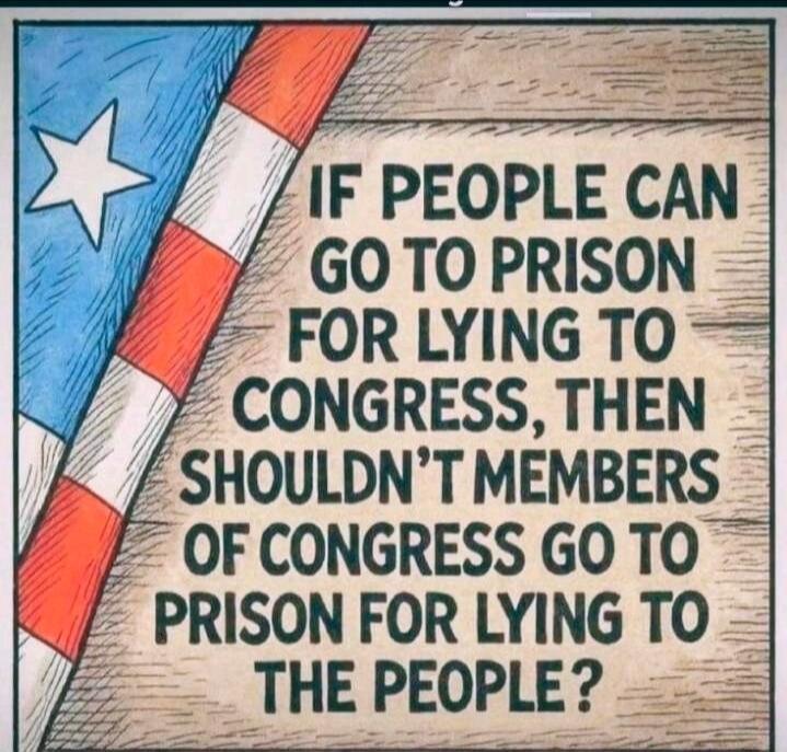 IF PEOPLE CAN GO TO PRISON FOR LYING TO CONGRESS, THEN SHOULDN'T MEMBERS OF CONGRESS GO TO PRISON FOR LYING TO THE PEOPLE?