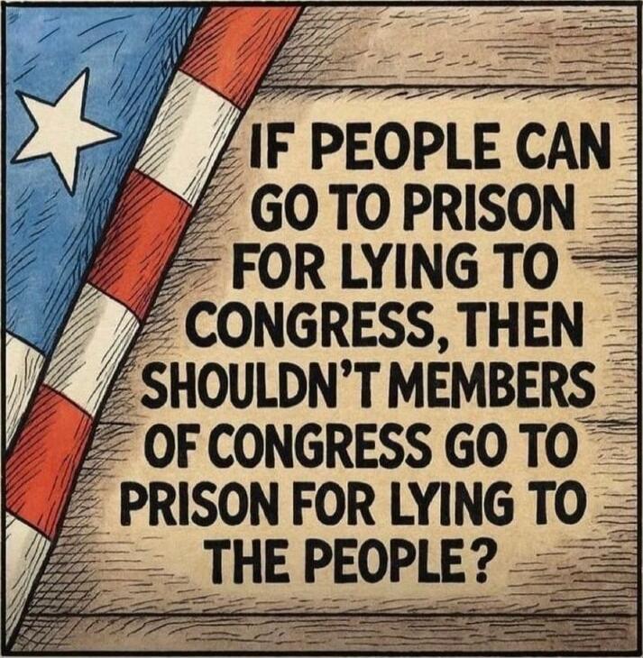 IF PEOPLE CAN GO TO PRISON FOR LYING TO CONGRESS, THEN SHOULDN'T MEMBERS OF CONGRESS GO TO PRISON FOR LYING TO THE PEOPLE?