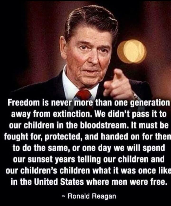Freedom is never more than one generation away from extinction. We didn’t pass it to our children in the bloodstream. It must be fought for, protected, and handed on for them to do the same, or one day we will spend our sunset years telling our children and our children’s children what it was once like in the United States where men were free. ~ Ro