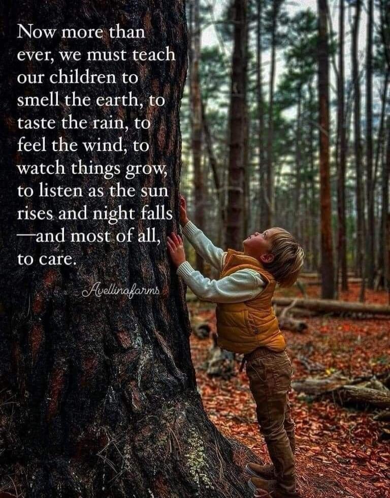 Now more than ever, we must teach our children to smell the earth, to taste the rain, to feel the wind, to watch things grow, to listen as the sun rises and night falls —and most of all, to care. Avellinafarms