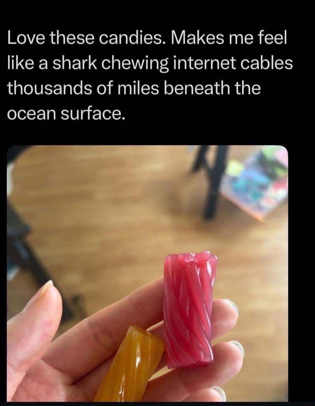 Love these candies. Makes me feel like a shark chewing internet cables thousands of miles beneath the ocean surface.