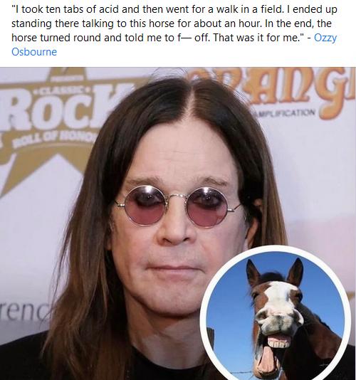 I took ten tabs of acid and then went for a walk in a field ended up standing there talking to this horse for about an hour In the end the horse tumed round and told me to f off That was it for me Ozz