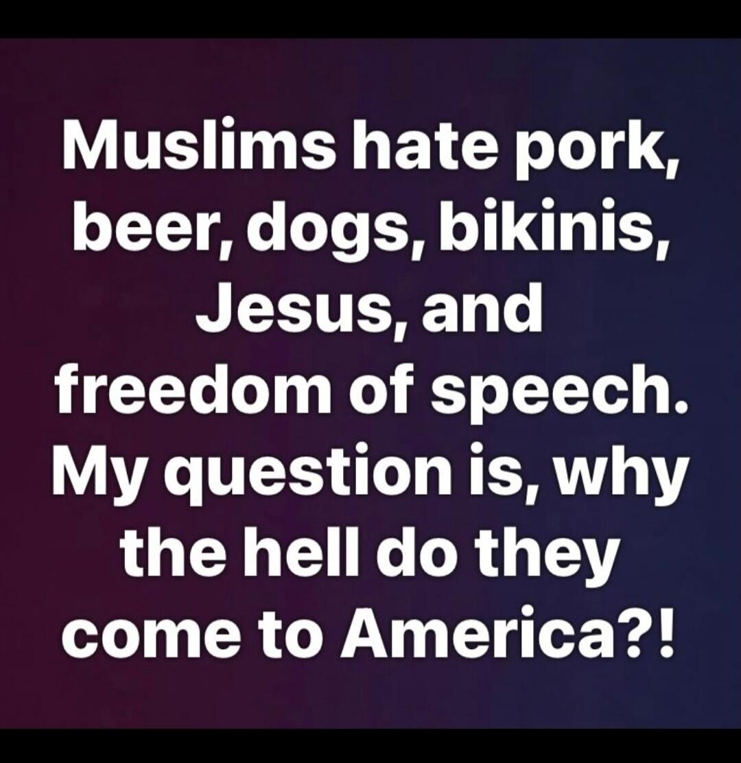 Muslims hate pork, beer, dogs, bikinis, Jesus, and freedom of speech. My question is, why the hell do they come to America?!