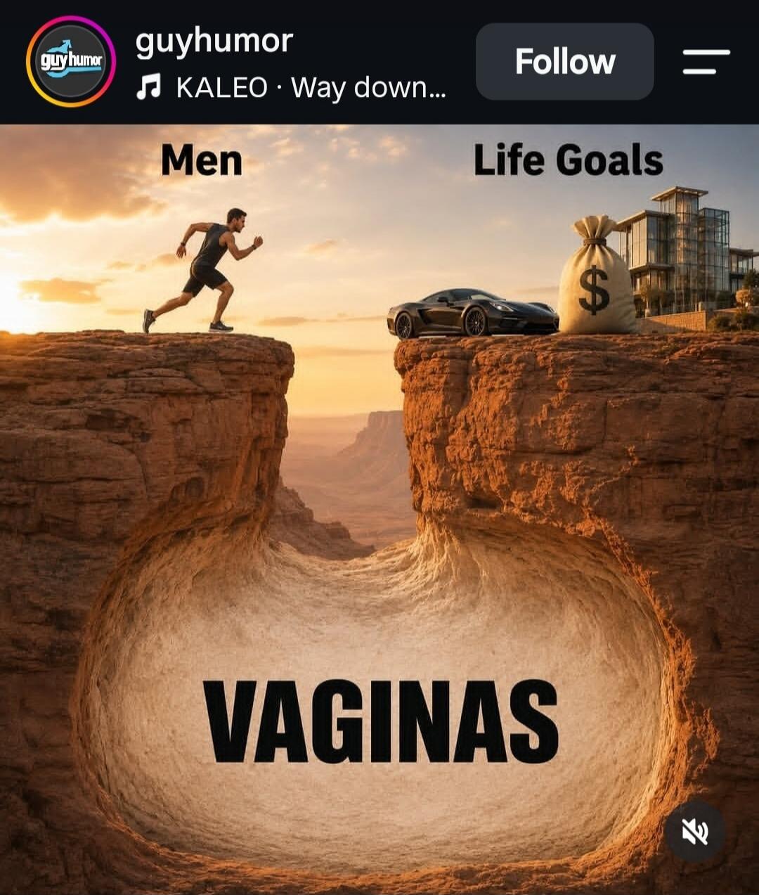 Men Life Goals VAGINAS