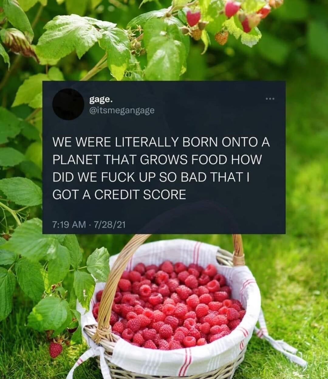 gage itsmegangage WE WERE LITERALLY BORN ONTO A PLANET THAT GROWS FOOD HOW DID WE FUCK UP SO BAD THAT GOT A CREDIT SCORE 719 AM 72821