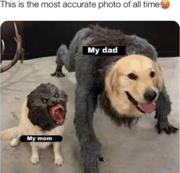 This is the most accurate photo of all time