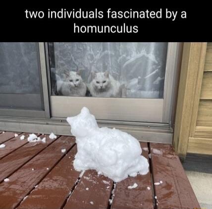 two individuals fascinated by a homunculus