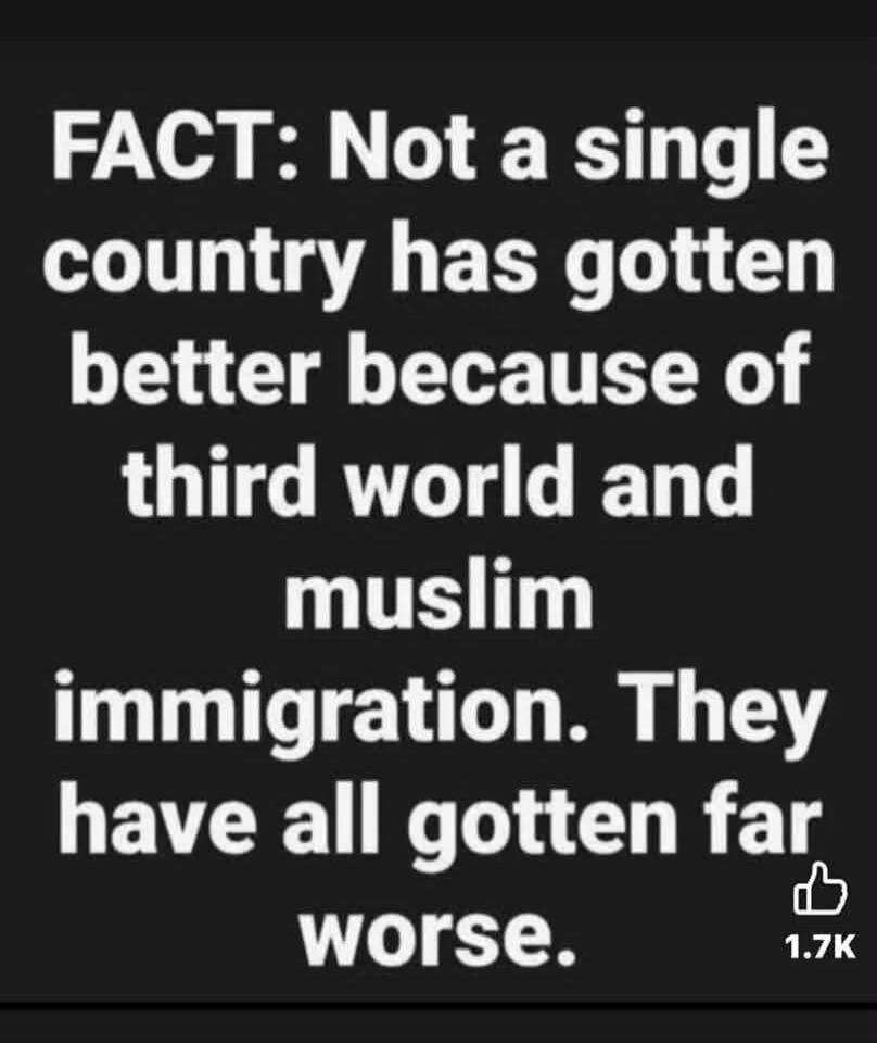FACT: Not a single country has gotten better because of third world and muslim immigration. They have all gotten far worse.