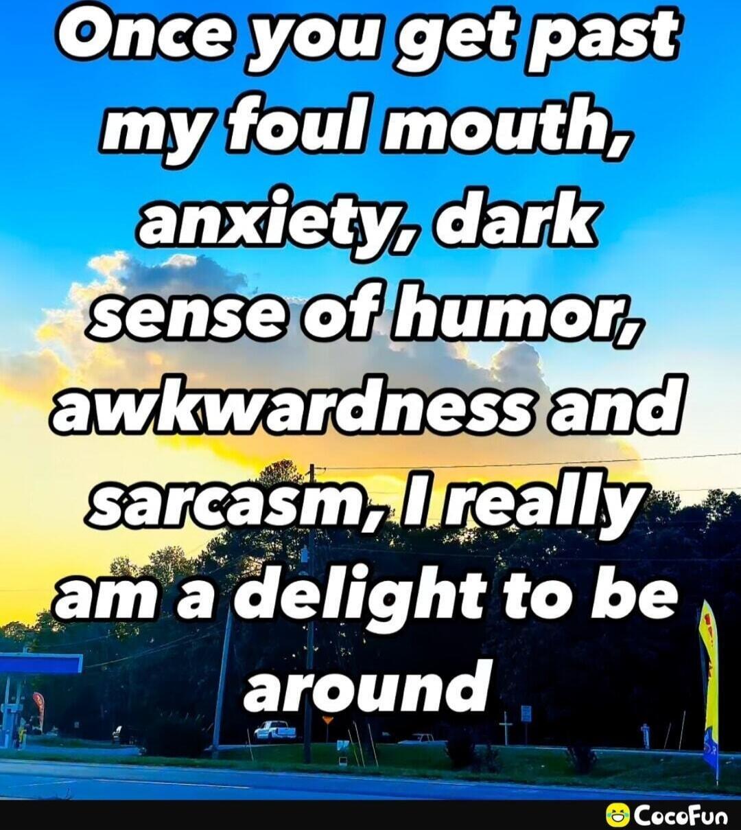 Once you get past my foul mouth, anxiety, dark sense of humor, awkwardness and sarcasm, I really am a delight to be around