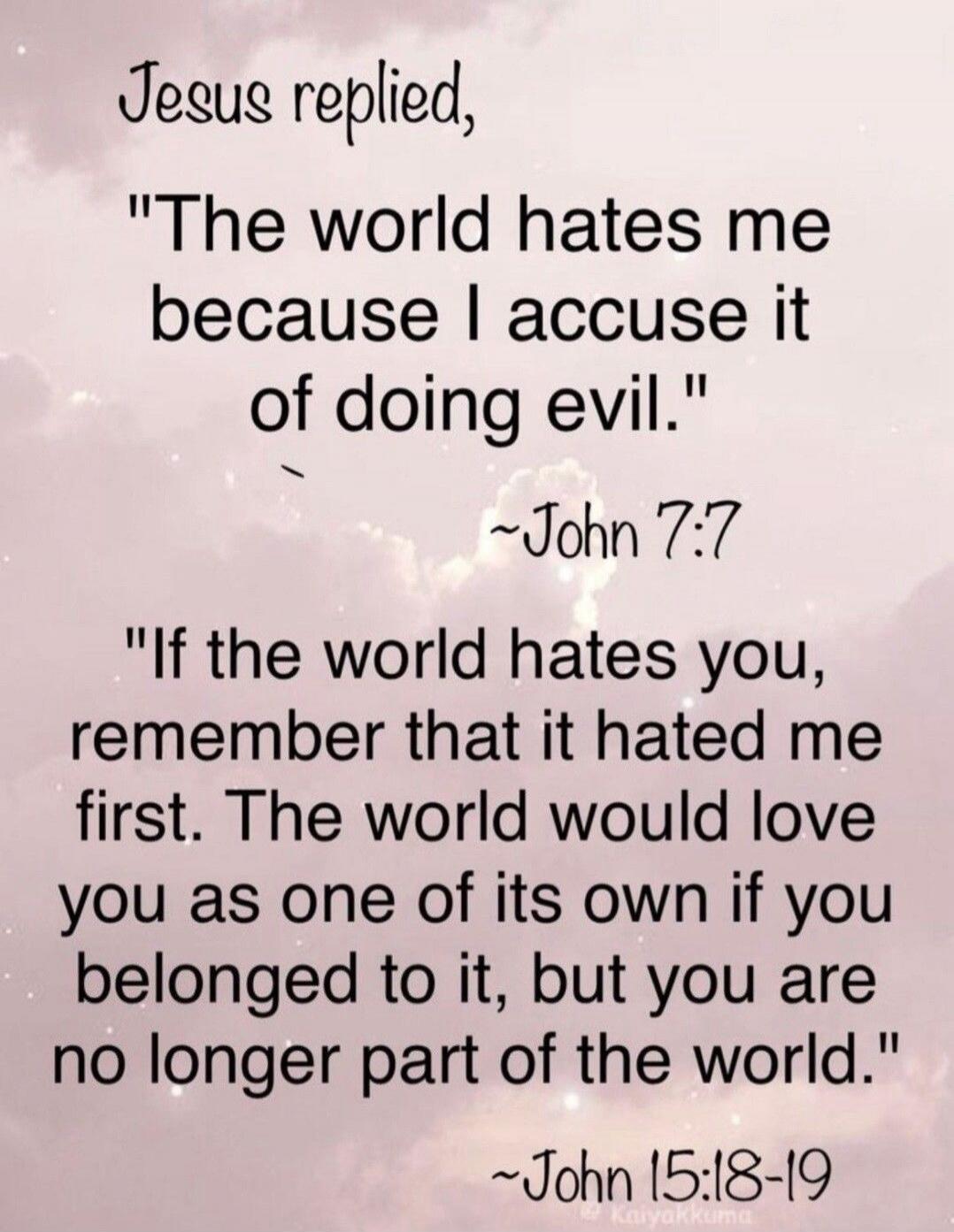 Jesus replied, 'The world hates me because I accuse it of doing evil.' ~John 7:7
'If the world hates you, remember that it hated me first. The world would love you as one of its own if you belonged to it, but you are no longer part of the world.' ~John 15:18-19
