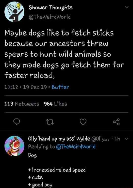 Shower Thoughts 3 EULEEHEIVE Maybe dogs like to fetch sticks because our ancestors threw spears to hunt wild animals so they made dogs go fetch them for faster reload 1012 19 Dec 19 Buffer 113 Retweets 964 Likes Q o Olly hand up my ass Wylde 0l ly 1h Replying to TheWeirdworld Dog increased reload speed cute