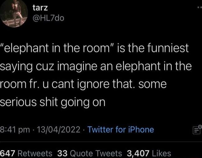 clrd HL7do elephant in the room is the funniest saying cuz imagine an elephant in the room fr u cant ignore that some serious shit going on 841 pm 13042022 Twitter for iPhone 647 Retweets 33 Quote Tweets 3407 Likes
